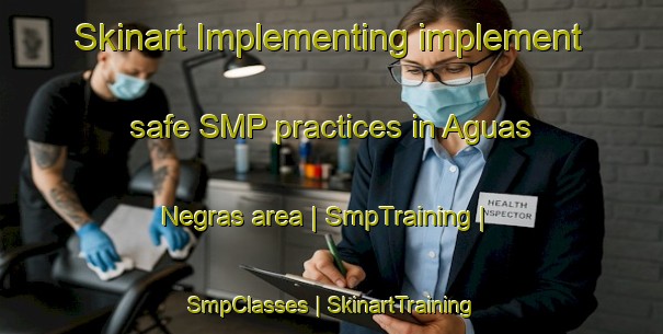 Skinart Implementing implement safe SMP practices in Aguas Negras area | SmpTraining | SmpClasses | SkinartTraining-Brazil